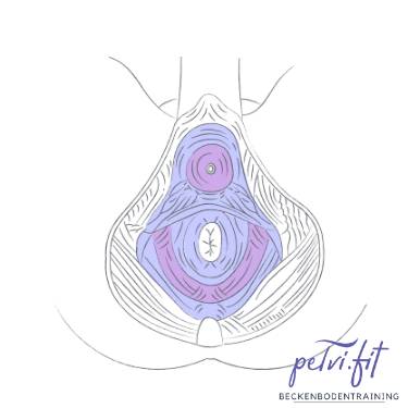 Beckenboden, Training, Effektiv, Blasenschwäche, Inkontinenz, Kegelübungen, Wieder richtig anspannen, EMP, Fitness, Training, Vorteile, Beckenbodenstuhl, Potenz, Rückbildung, Potent, Libido, Sexualität, pelvi.fit, pelvifit, Gevelsberg, Sprockhövel, Wetter, Hattingen, Bochum, Auf Knopfdruck
